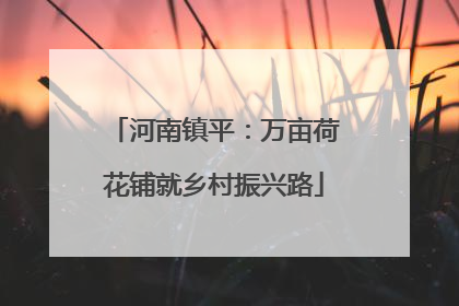 河南镇平：万亩荷花铺就乡村振兴路