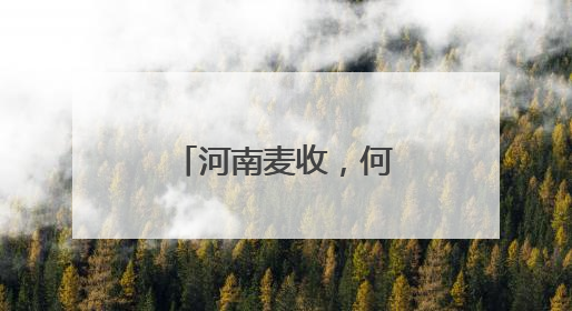 河南麦收，何以“顶流”？