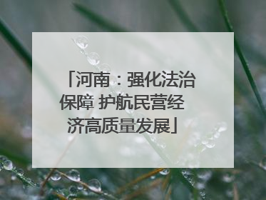 河南：强化法治保障 护航民营经济高质量发展