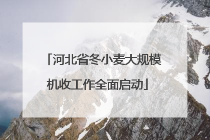 河北省冬小麦大规模机收工作全面启动