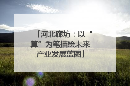 河北廊坊：以“算”为笔描绘未来产业发展蓝图