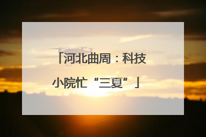 河北曲周：科技小院忙“三夏”