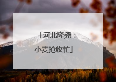 河北隆尧：小麦抢收忙