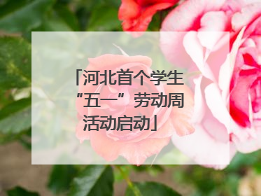河北首个学生“五一”劳动周活动启动