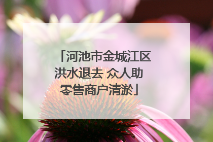 河池市金城江区洪水退去 众人助零售商户清淤