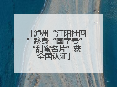 泸州“江阳桂圆”跻身“国字号” “甜蜜名片”获全国认证