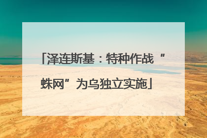 泽连斯基：特种作战“蛛网”为乌独立实施