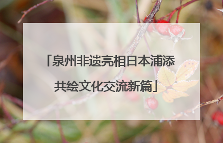 泉州非遗亮相日本浦添 共绘文化交流新篇