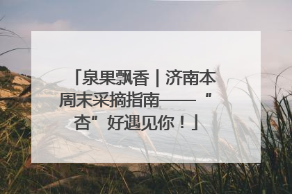 泉果飘香｜济南本周末采摘指南——“杏”好遇见你！