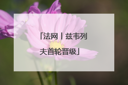 法网丨兹韦列夫首轮晋级