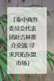 泰中商务委员会代表团赴吉林推介交流 寻求共拓东盟市场