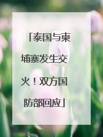 泰国与柬埔寨发生交火！双方国防部回应