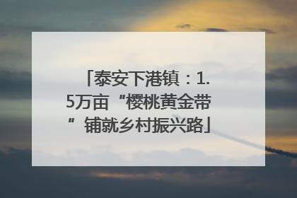 泰安下港镇：1.5万亩“樱桃黄金带”铺就乡村振兴路