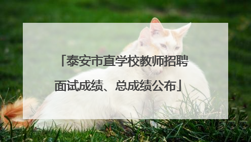 泰安市直学校教师招聘面试成绩、总成绩公布