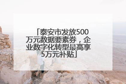 泰安市发放500万元数据要素券，企业数字化转型最高享5万元补贴