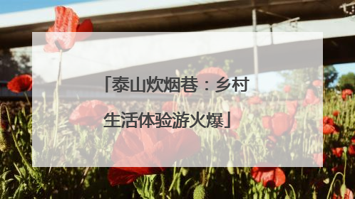 泰山炊烟巷：乡村生活体验游火爆