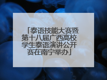 泰语技能大赛暨第十八届广西高校学生泰语演讲公开赛在南宁举办