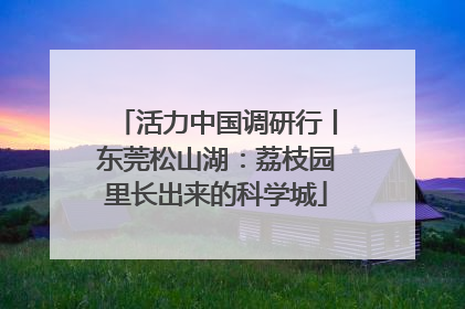 活力中国调研行丨东莞松山湖：荔枝园里长出来的科学城