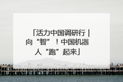 活力中国调研行｜向“智”！中国机器人“跑”起来