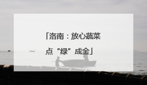洛南：放心蔬菜点“绿”成金