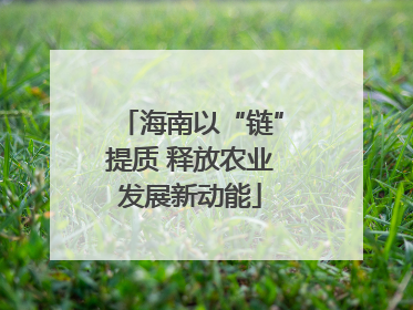 海南以“链”提质 释放农业发展新动能