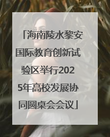 海南陵水黎安国际教育创新试验区举行2025年高校发展协同圆桌会会议