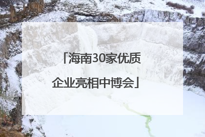 海南30家优质企业亮相中博会