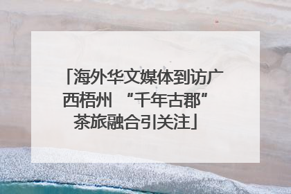 海外华文媒体到访广西梧州 “千年古郡”茶旅融合引关注