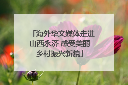 海外华文媒体走进山西永济 感受美丽乡村振兴新貌