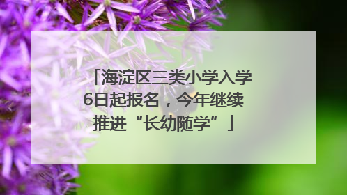 海淀区三类小学入学6日起报名，今年继续推进“长幼随学”