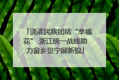 浇灌民族团结“幸福花” 浙江统一战线助力畲乡景宁展新貌