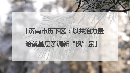 济南市历下区：以共治力量绘就基层矛调新“枫”景