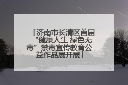 济南市长清区首届“健康人生 绿色无毒”禁毒宣传教育公益作品展开展
