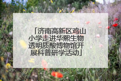 济南高新区鸡山小学走进华熙生物透明质酸博物馆开展科普研学活动