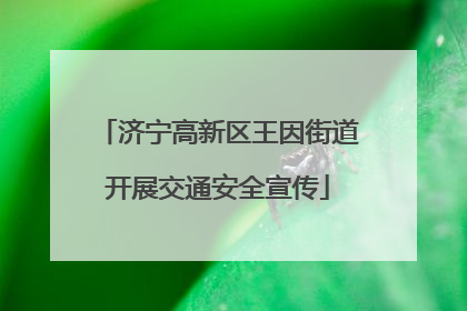 济宁高新区王因街道开展交通安全宣传