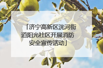 济宁高新区洸河街道阳光社区开展消防安全宣传活动