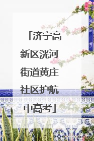 济宁高新区洸河街道黄庄社区护航中高考