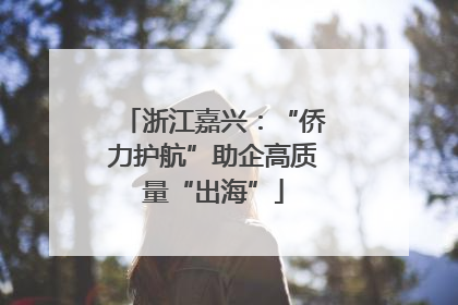 浙江嘉兴：“侨力护航”助企高质量“出海”