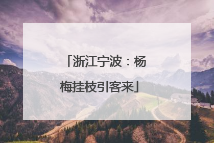 浙江宁波：杨梅挂枝引客来