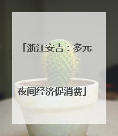 浙江安吉：多元夜间经济促消费