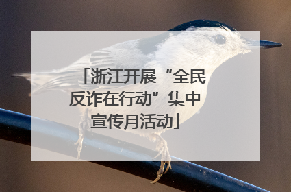 浙江开展“全民反诈在行动”集中宣传月活动