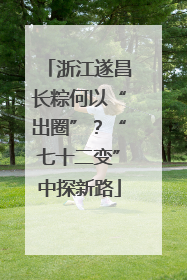 浙江遂昌长粽何以“出圈”？“七十二变”中探新路