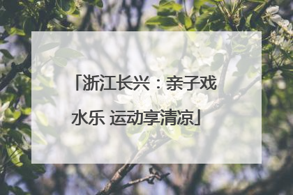 浙江长兴：亲子戏水乐 运动享清凉