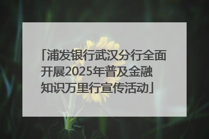浦发银行武汉分行全面开展2025年普及金融知识万里行宣传活动