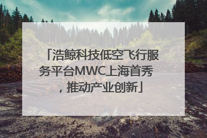 浩鲸科技低空飞行服务平台MWC上海首秀，推动产业创新