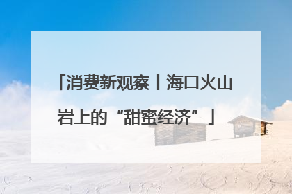 消费新观察丨海口火山岩上的“甜蜜经济”