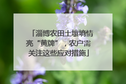 淄博农田土壤墒情亮“黄牌”，农户需关注这些应对措施