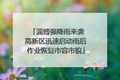 淄博强降雨来袭 高新区迅速启动雨后作业恢复市容市貌