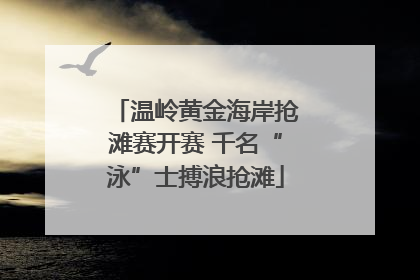 温岭黄金海岸抢滩赛开赛 千名“泳”士搏浪抢滩