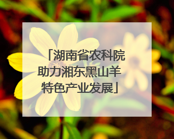 湖南省农科院助力湘东黑山羊特色产业发展